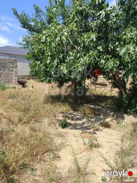 4 sot, Tikinti, Mülkiyyətçi, Kupça (Çıxarış) — Bakı