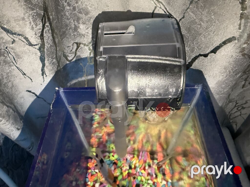Dördbucaq akvarium, Balıqlarla birlikdə, 10 l, Ünvandan götürmə — Akvariumlar və balıqlar, Bakı (8)