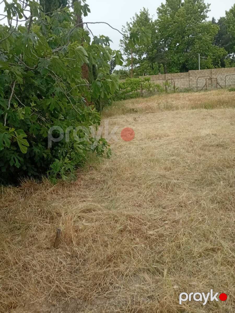 24 sot torpaq sahəsi, Novxanı qəs — Torpaq, Bakı (8)