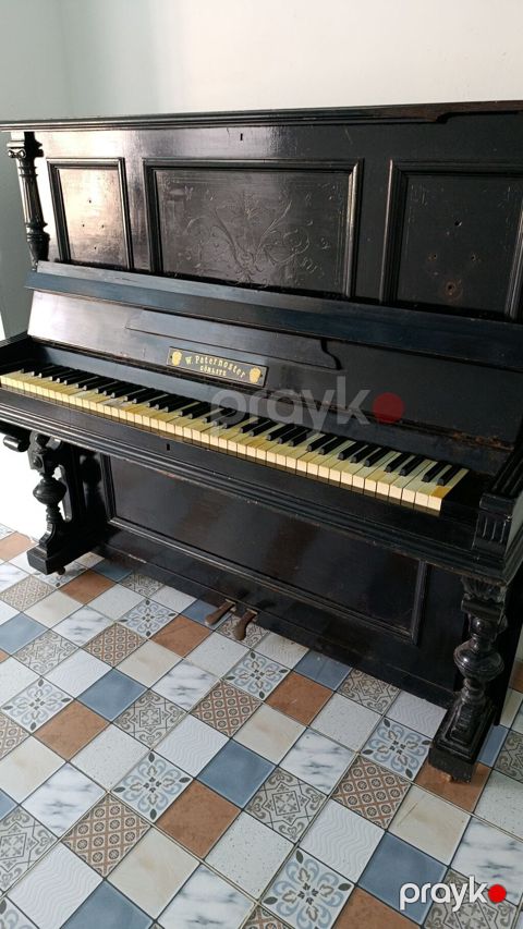 Antik şaquli piano – W. Paternoster, Görlitz. Xüsusiyyətlər — Digah