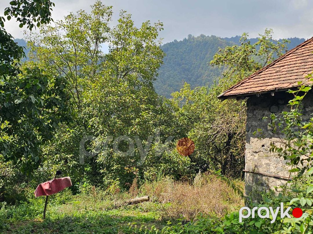 Satılır torpaq 11 sot — Torpaq, Qəbələ (3)
