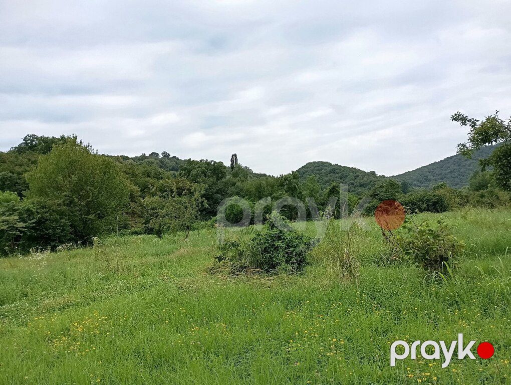 1000 sot torpaq sahəsi, Balakən r — Torpaq, Balakən (4)