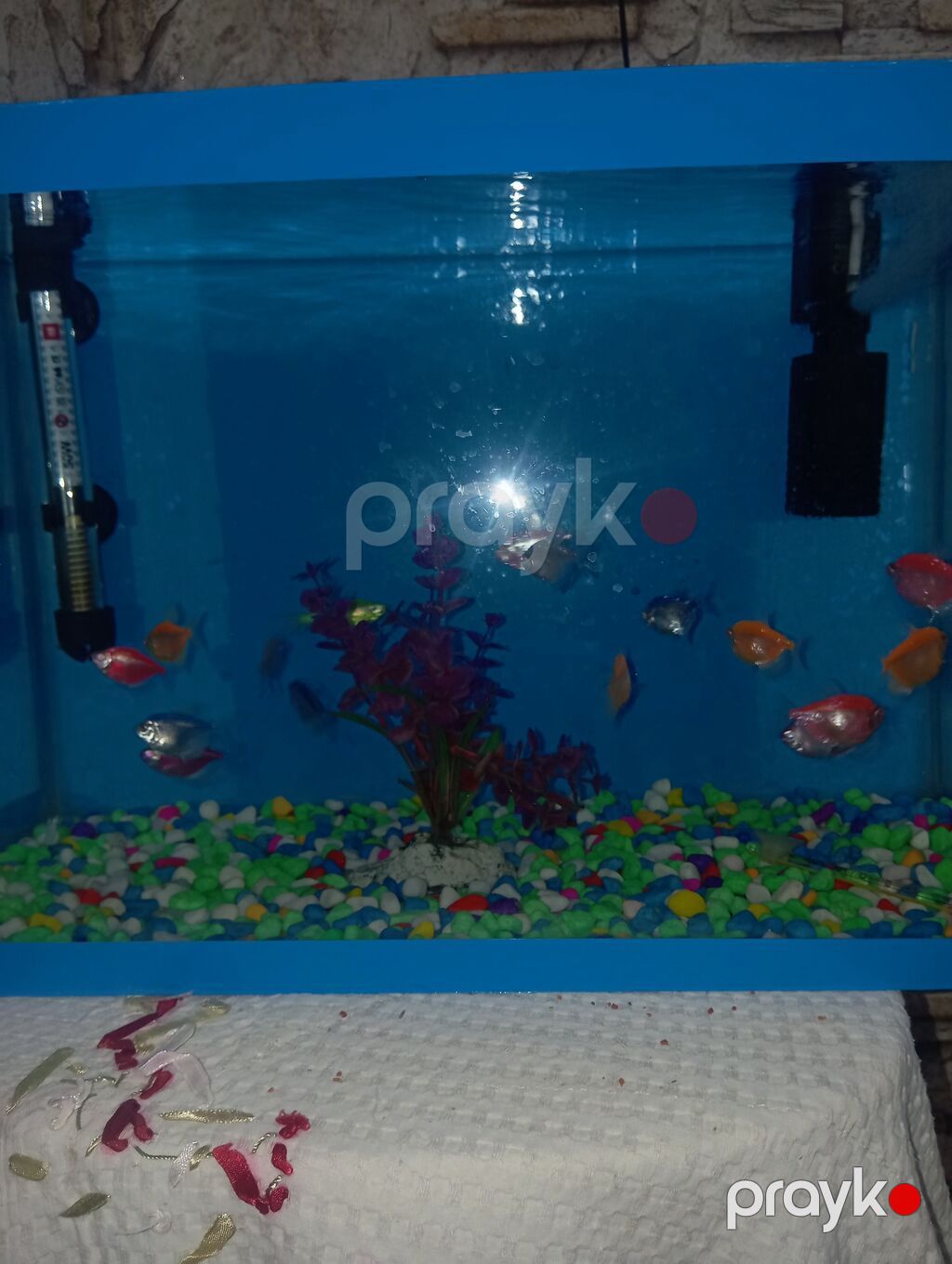 *Akvaryum Satılır - Mərdəkan* Ölçü: Eni 46 sm / Uzunluğu 30 sm — Akvariumlar və balıqlar, Bakı (2)