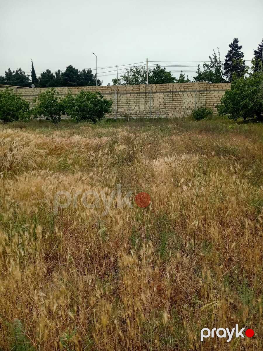 24 sot torpaq sahəsi, Novxanı qəs — Torpaq, Bakı (5)