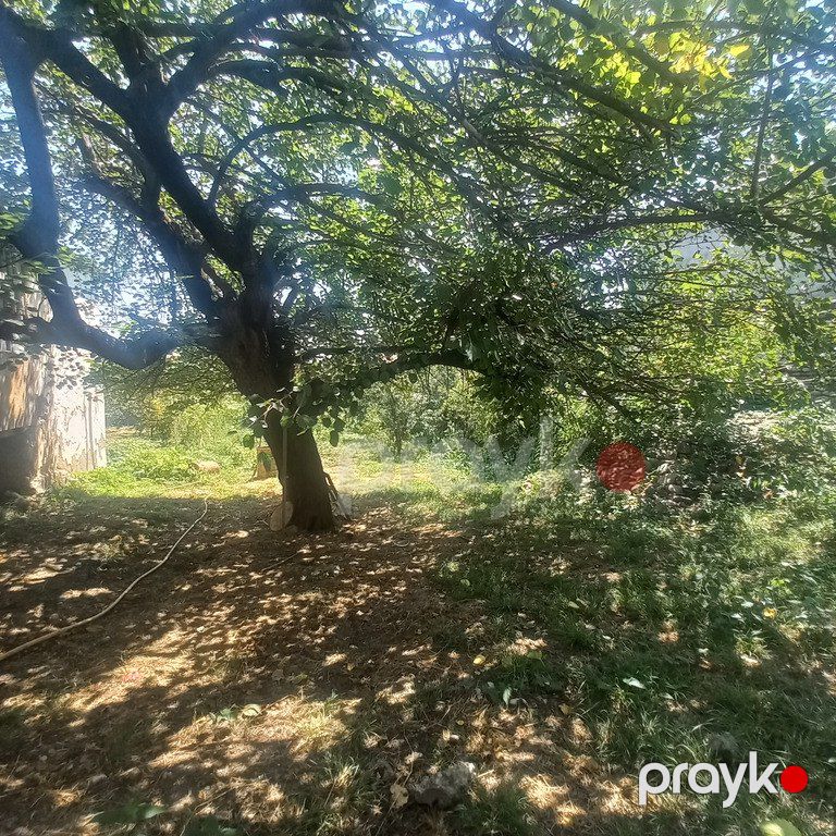 7 sot torpaq sahəsi, Qusar r — Torpaq, Qusar (2)