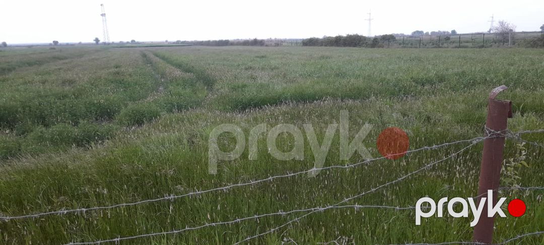 2.57 sot torpaq sahəsi, Şabran r — Torpaq, Şabran (5)