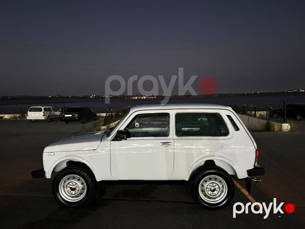 Lada (VAZ) Niva, 1.6 L, 2009 il, 327 000 km — Avtomobillər, Bakı (9)