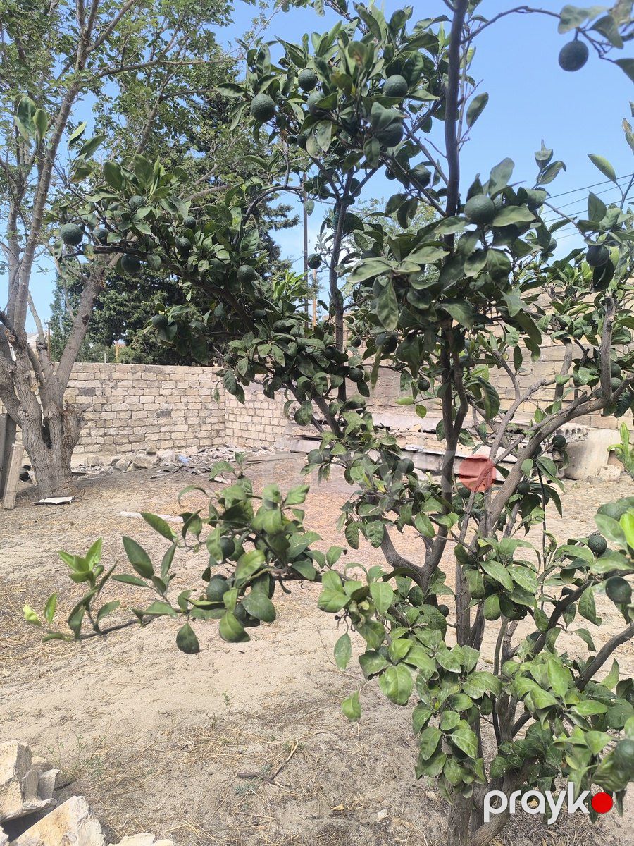 Satılır torpaq 7 sot — Torpaq, Bakı (3)