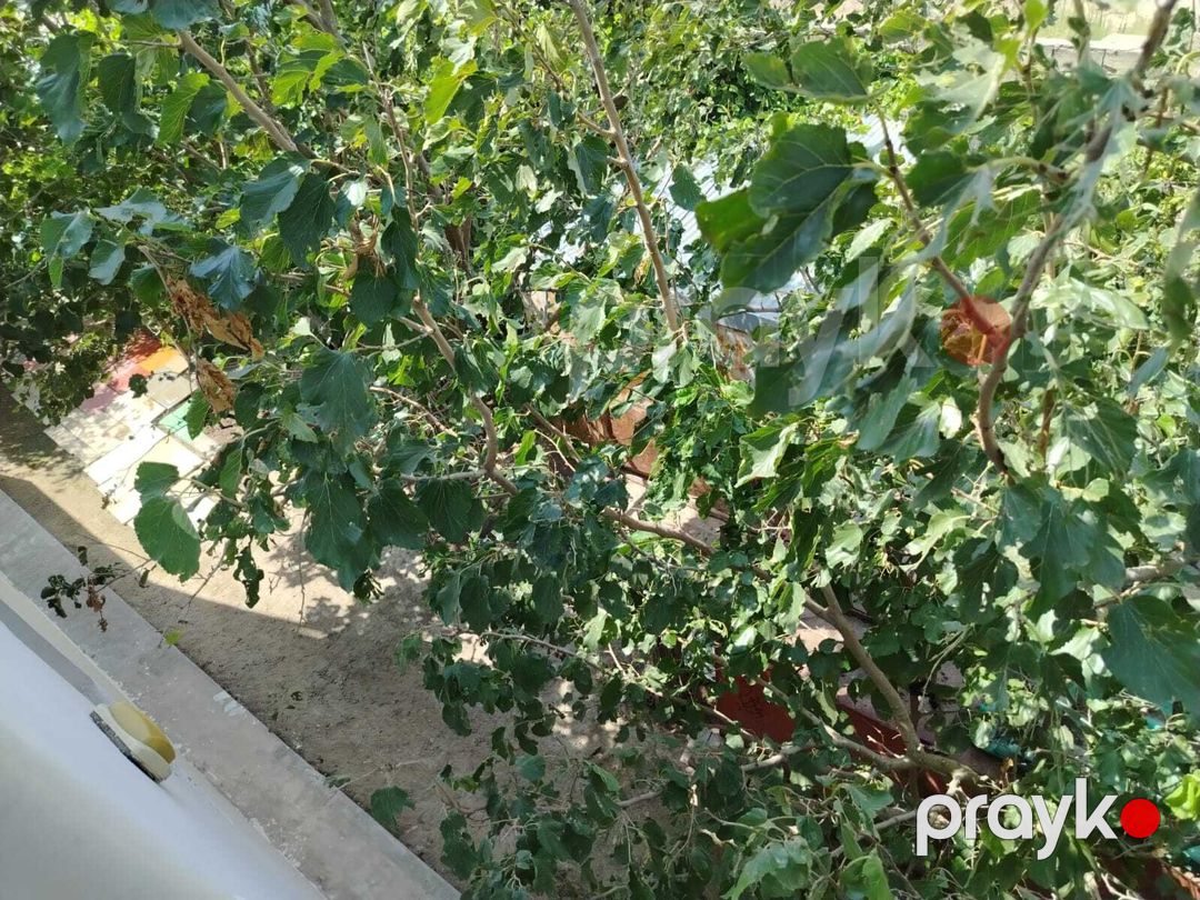 Həyət evi, Fatmayı qəs — Ev, villa, Bakı (11)