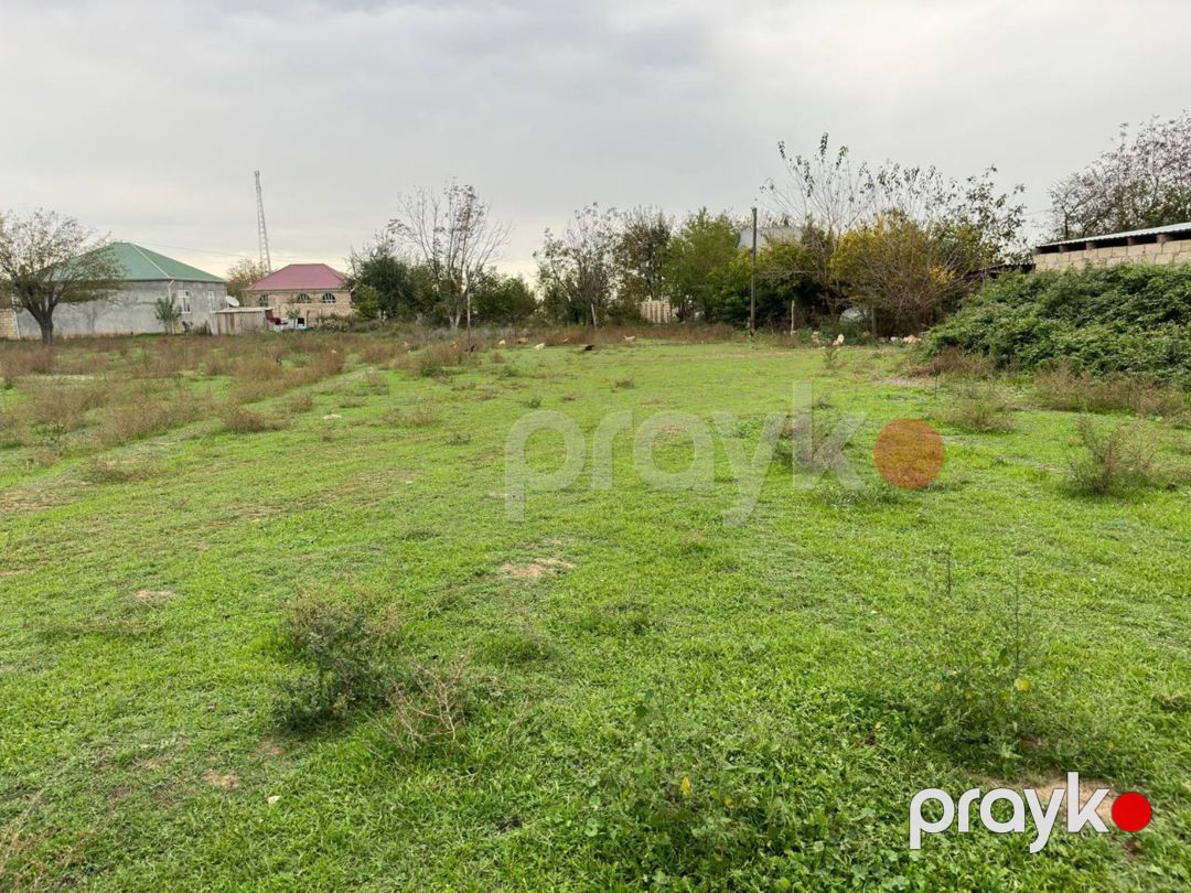 50 sot torpaq sahəsi, Ağcabədi r — Torpaq, Ağcabədi (6)