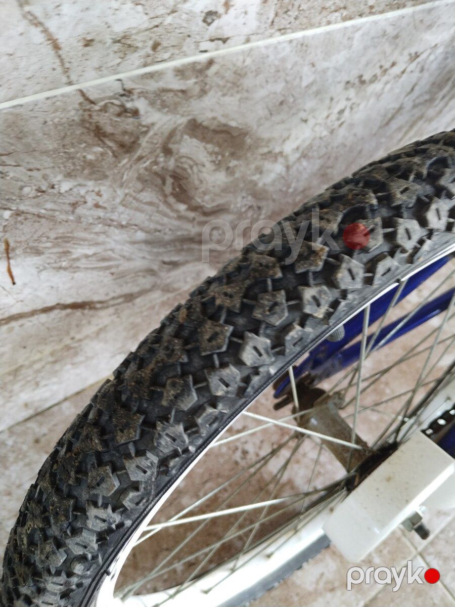 Velosiped — Velosipedlər, Bakı (5)
