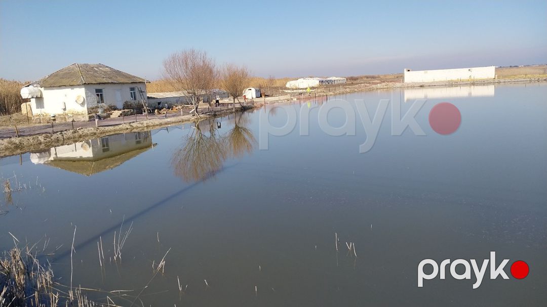8 sot torpaq sahəsi, Salyan r — Torpaq, Salyan (10)