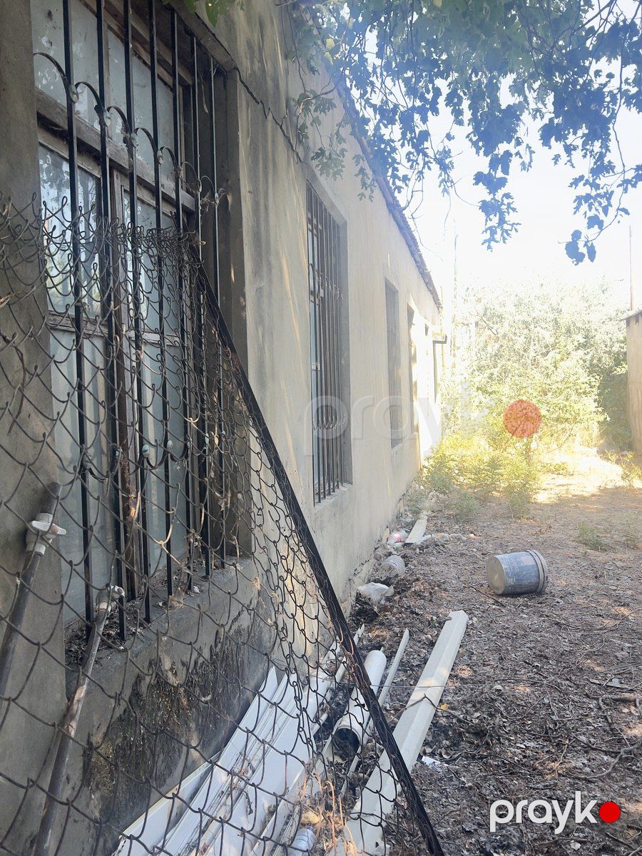 Satılır torpaq 132 sot — Torpaq, Bakı (10)