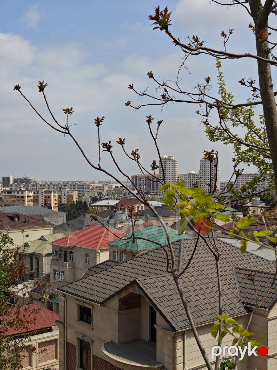 Satılır torpaq 10 sot — Torpaq, Bakı (8)