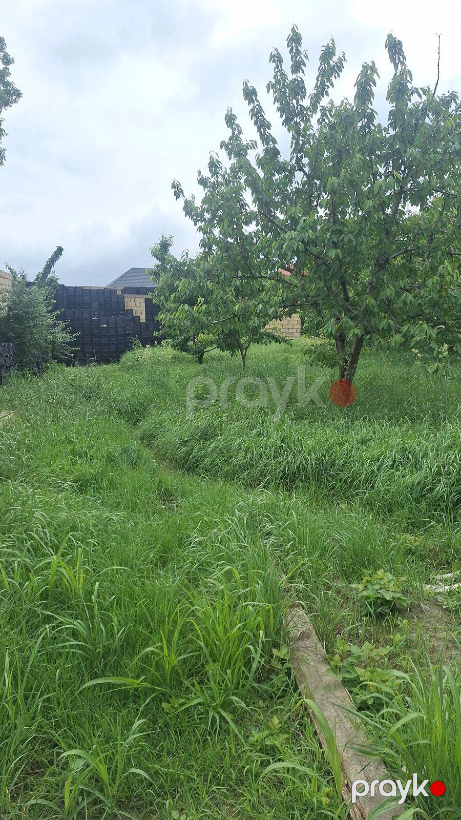 Həyət evi, Quba r — Ev, villa, Quba (8)