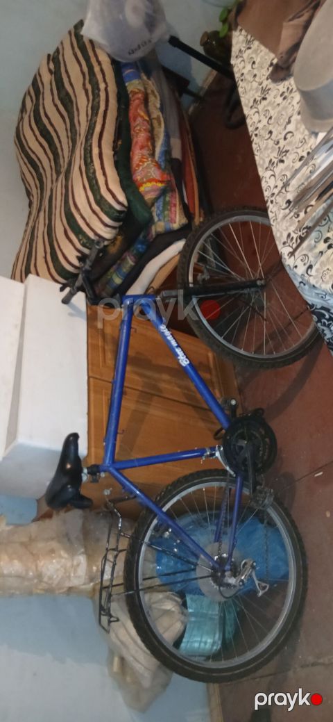 Velosiped – Blue Magic, dağ/şəhər tərzi Xüsusiyyətlər: - Rəng: mavi — Bakı