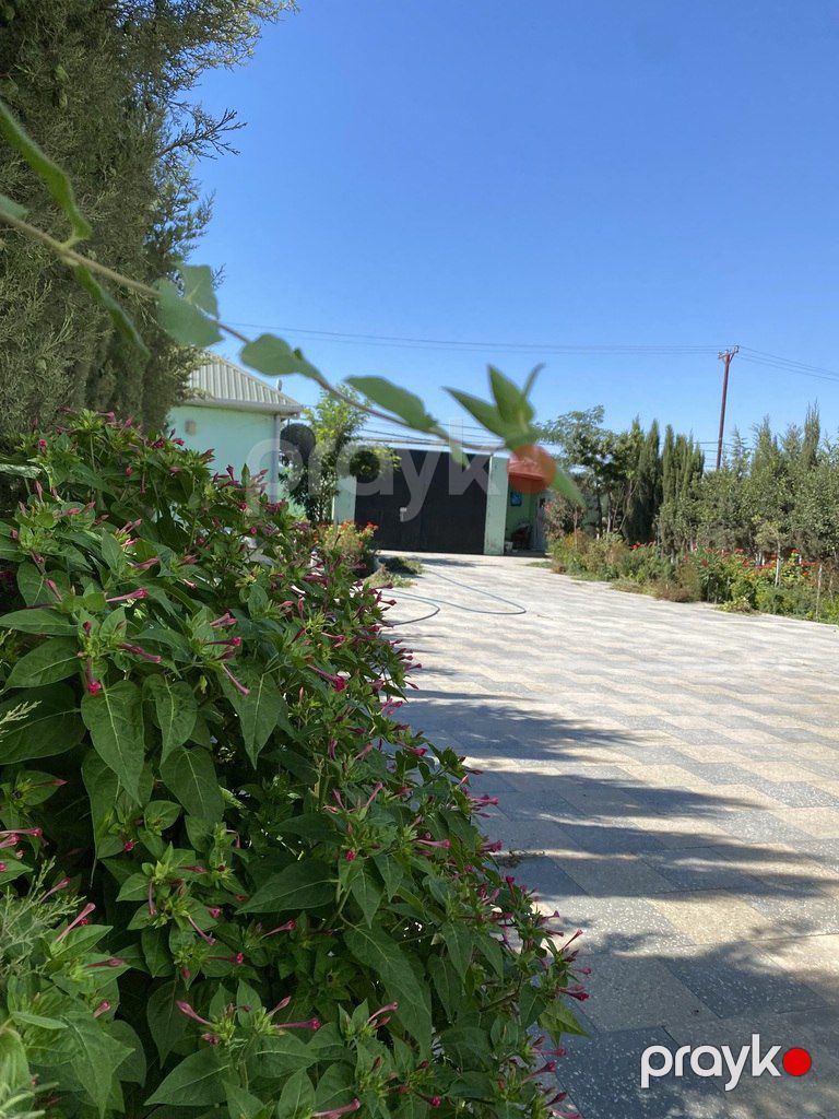 Satılır 5 otaqlı həyət evi/bağ evi 277 m² — Ev, villa, Bakı (6)
