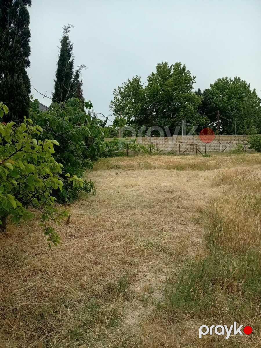 Satılır torpaq 24 sot — Torpaq, Bakı (4)