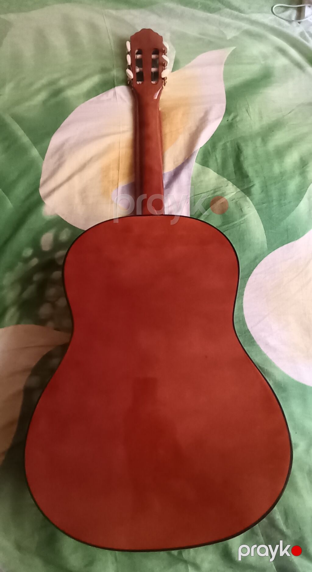 Klassik akustik gitara + yumşaq çanta - Korpus: klassik ölçülü — Gitarlar və digər simli alətlər, Xırdalan (6)