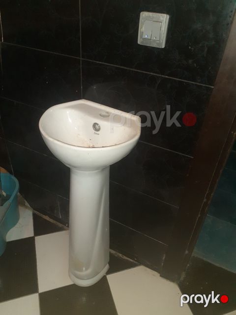 Əlüzyuyan (tülpan) — Bakı