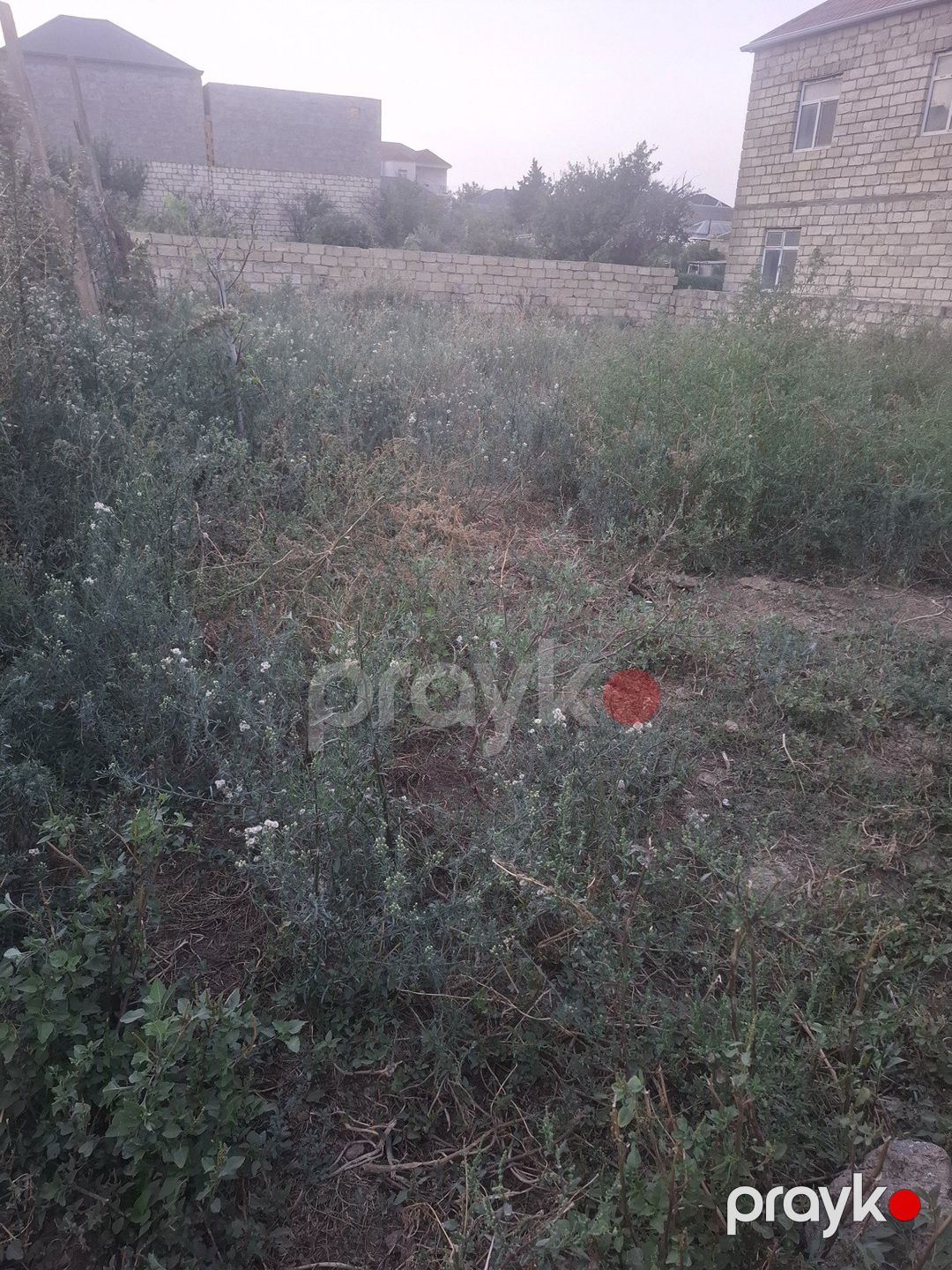Satılır torpaq 3 sot — Torpaq, Bakı (2)