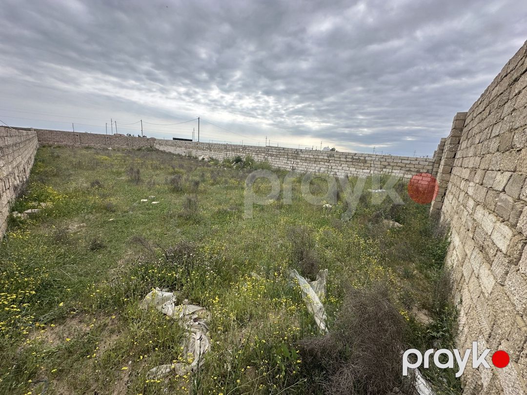 Satılır torpaq 5 sot — Torpaq, Bakı (5)