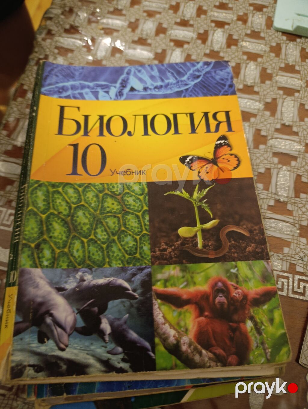 Məhsul: Rus dilində “Биология” dərslikləri dəsti Təsvir: - 7, 8, 10 — Kitablar, Gəncə (2)