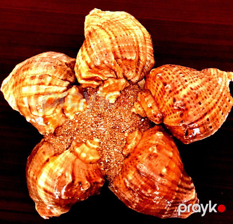 Ракушка — Kolleksiyalar, Bakı (2)
