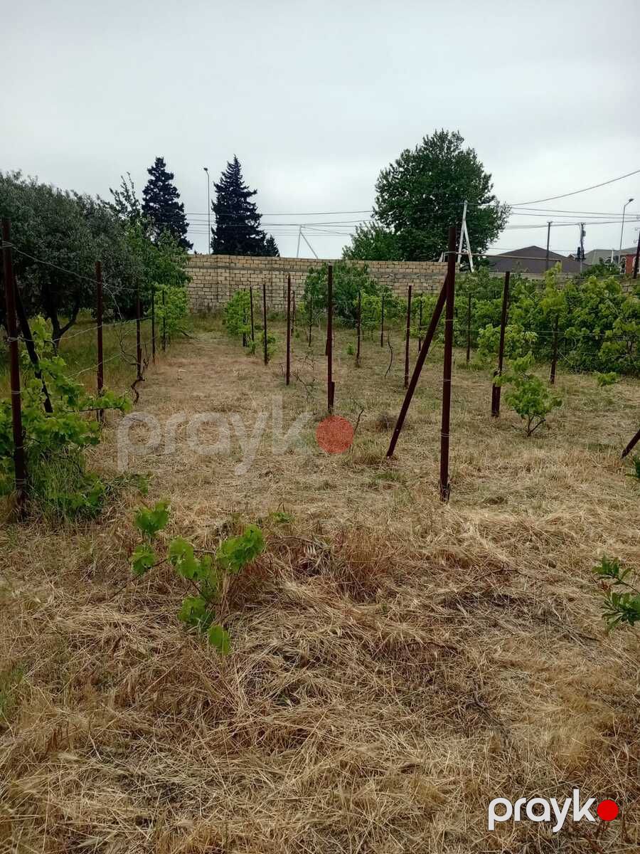 24 sot torpaq sahəsi, Novxanı qəs — Torpaq, Bakı (9)