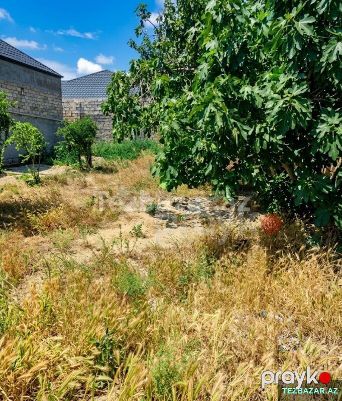 Torpaq sahəsi — Torpaq, Bakı (4)