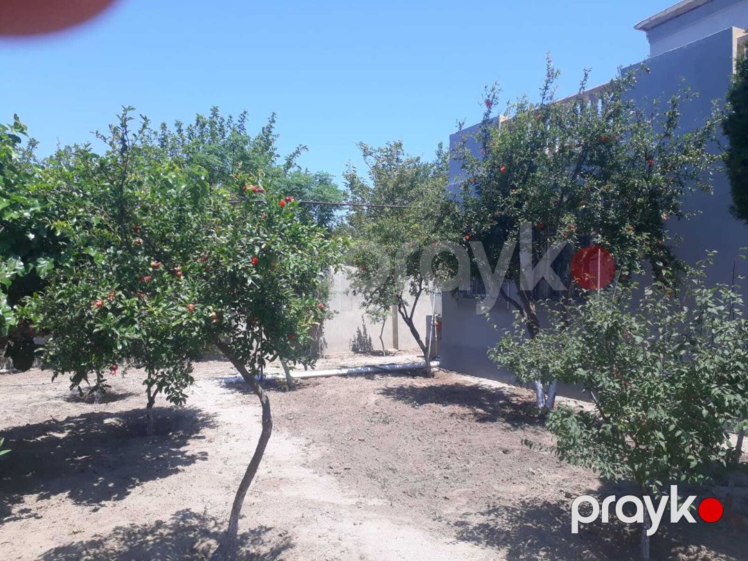 İcarəyə verilir 4 otaqlı həyət evi/bağ evi 250 m² — Ev, villa, Bakı (3)