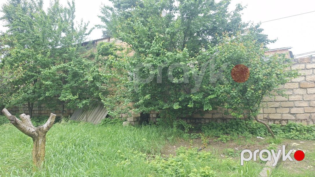 Həyət evi, Quba r — Ev, villa, Quba (10)