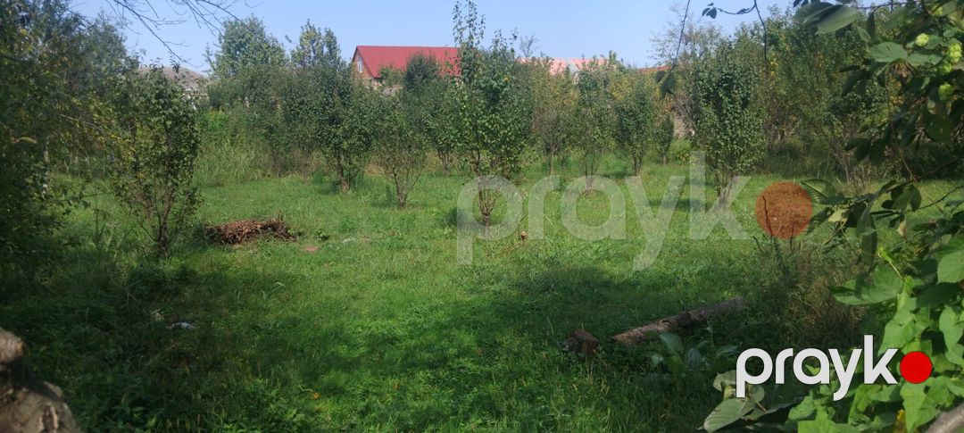 8 sot torpaq sahəsi, 2-ci Nügədi kəndi — Torpaq, Quba (3)