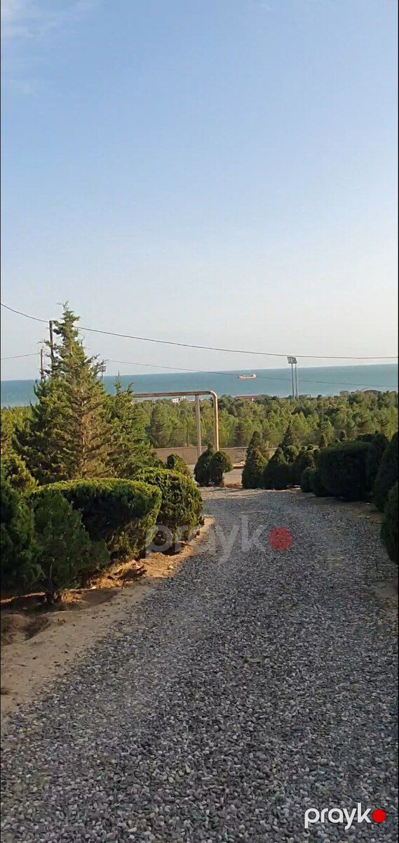 6 sot torpaq sahəsi, Şıxov qəs — Torpaq, Bakı (6)