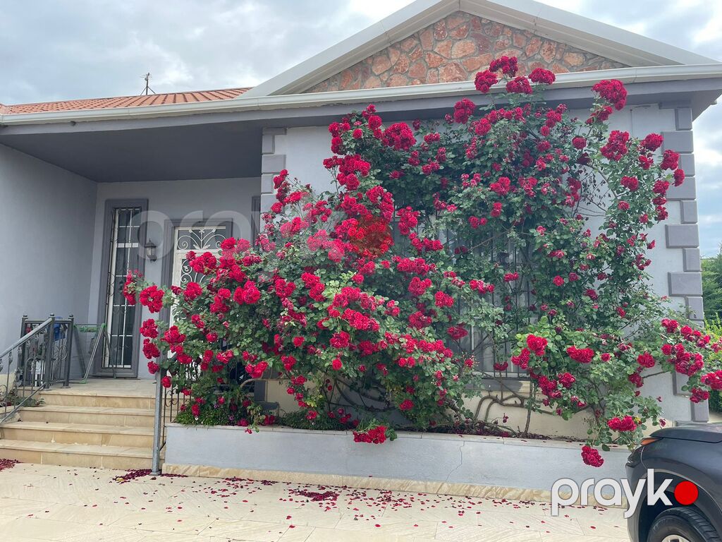 İcarəyə verilir 4 otaqlı həyət evi/bağ evi 150 m² — Ev, villa, Bakı (3)