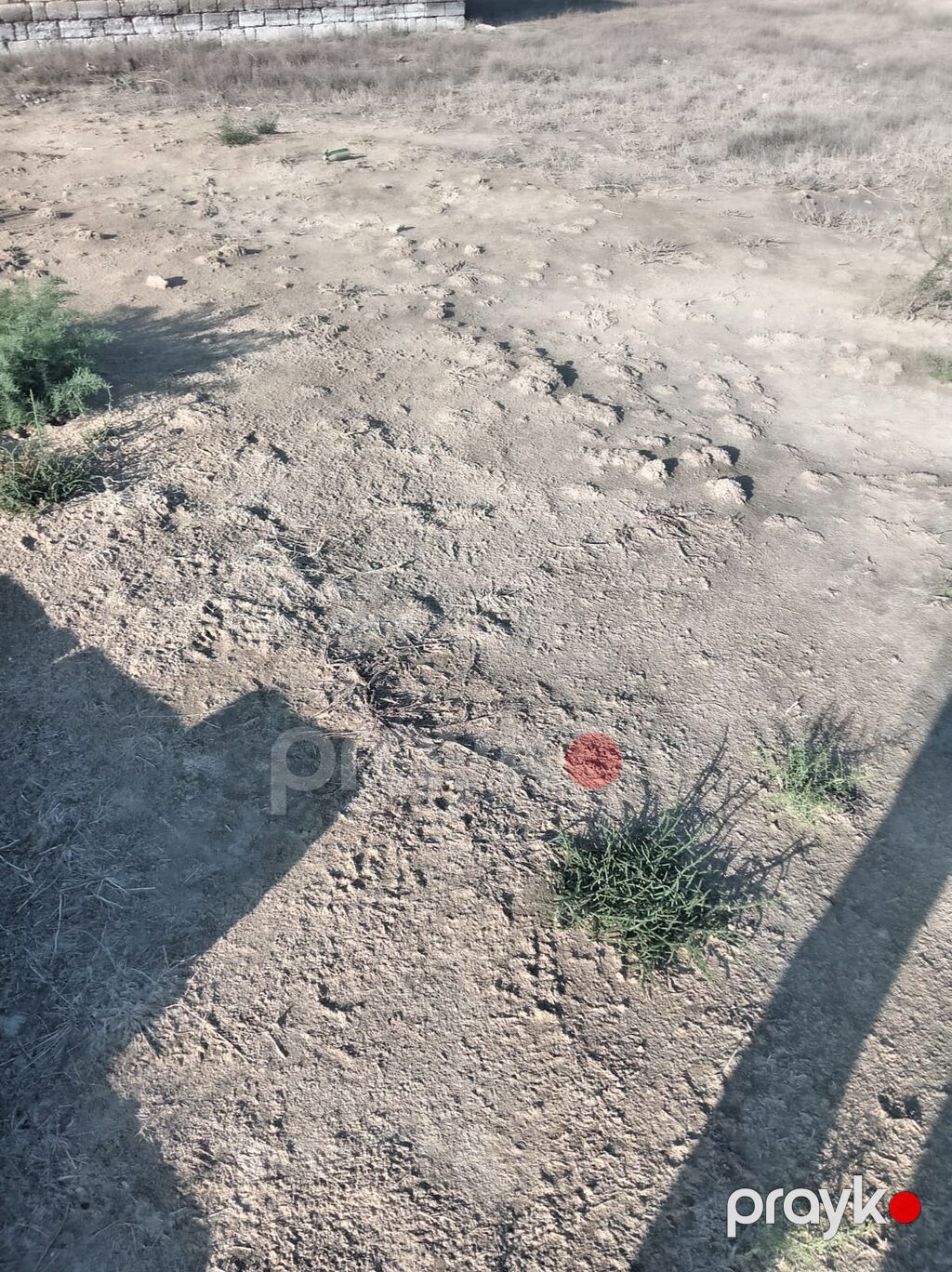 Tikinti — Torpaq, Bakı (6)