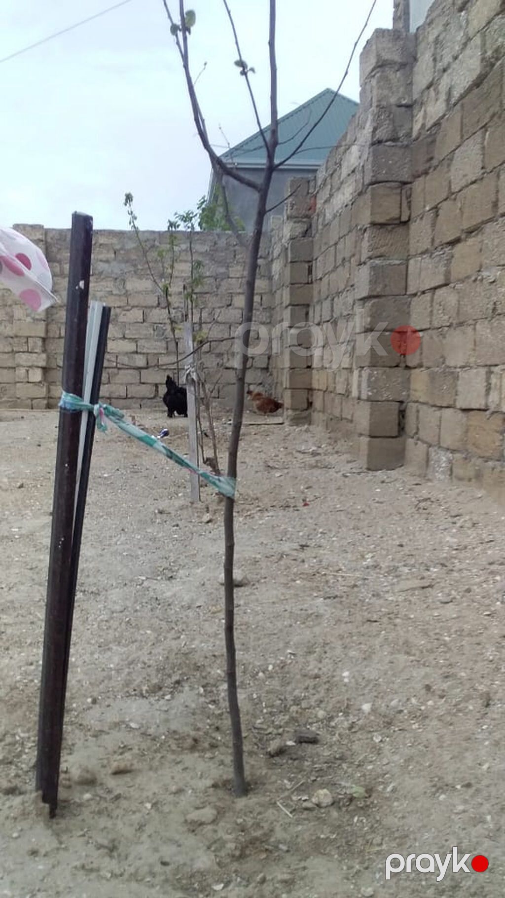 70 kv. m, 2 otaqlı — Ev, villa, Bakı (8)