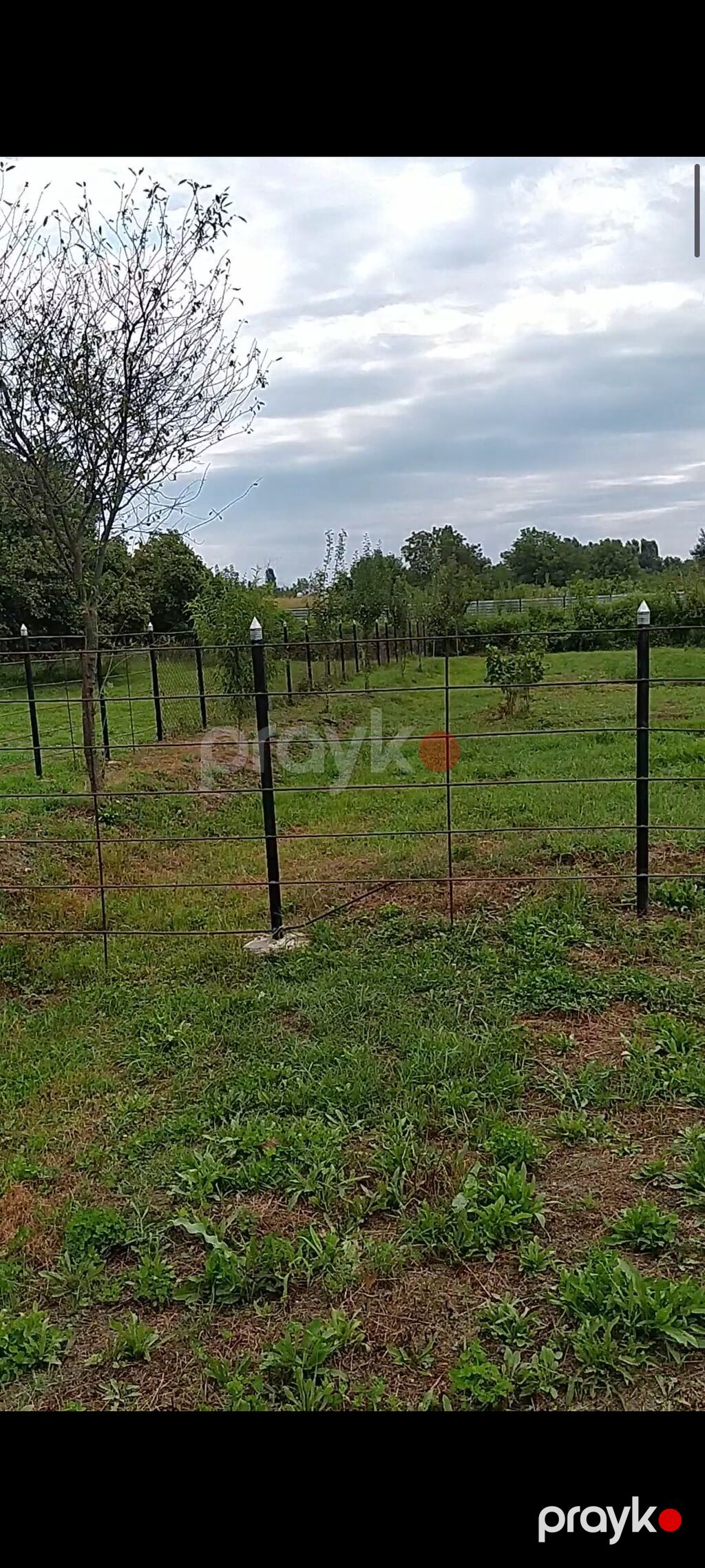 3 otaqlı, 120 kv. m, Kredit yoxdur, Orta təmir — Ev, villa, Balakən (4)