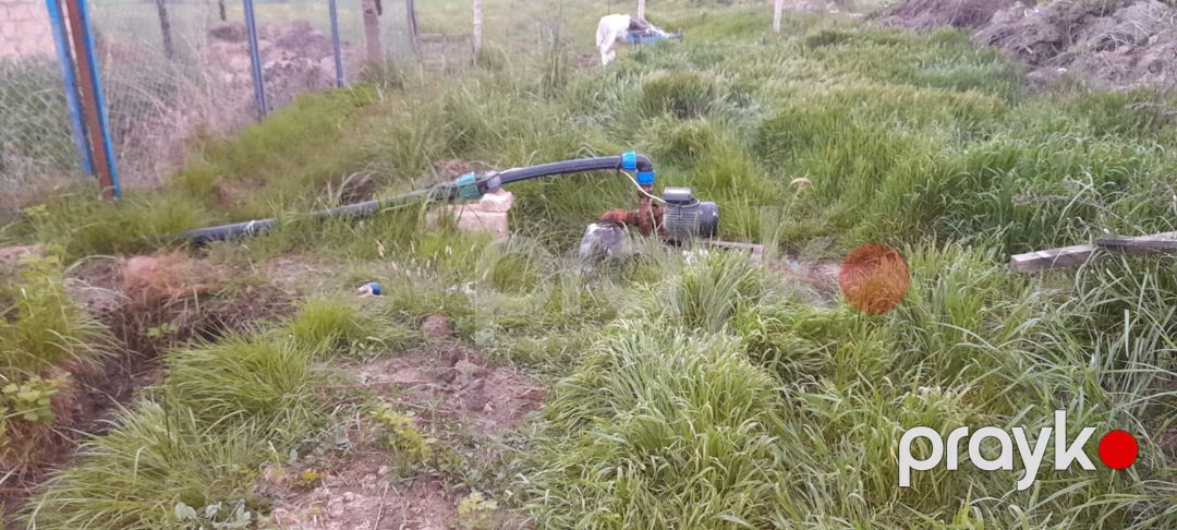 2.57 sot torpaq sahəsi, Şabran r — Torpaq, Şabran (4)