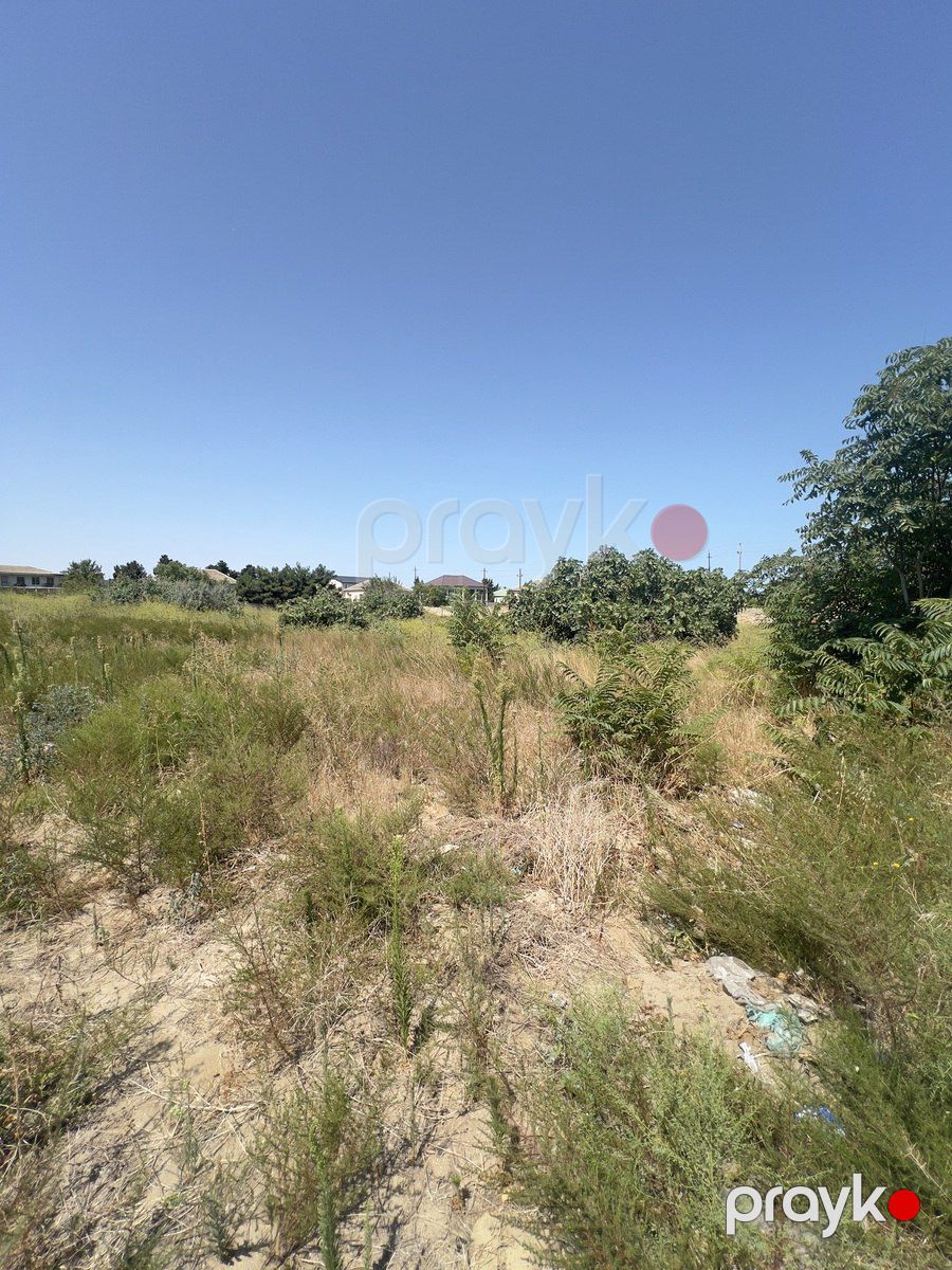 Satılır torpaq 132 sot — Torpaq, Bakı (7)
