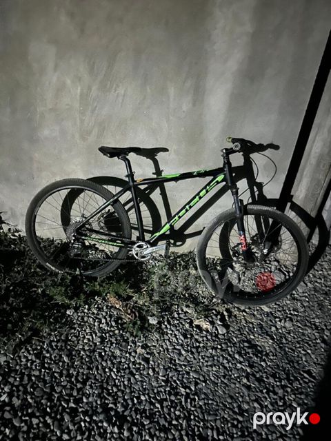 Velosiped Focus — Bakı