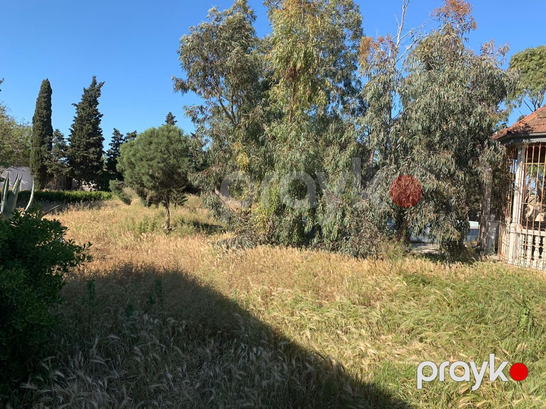 Satılır torpaq 24 sot — Torpaq, Bakı (10)