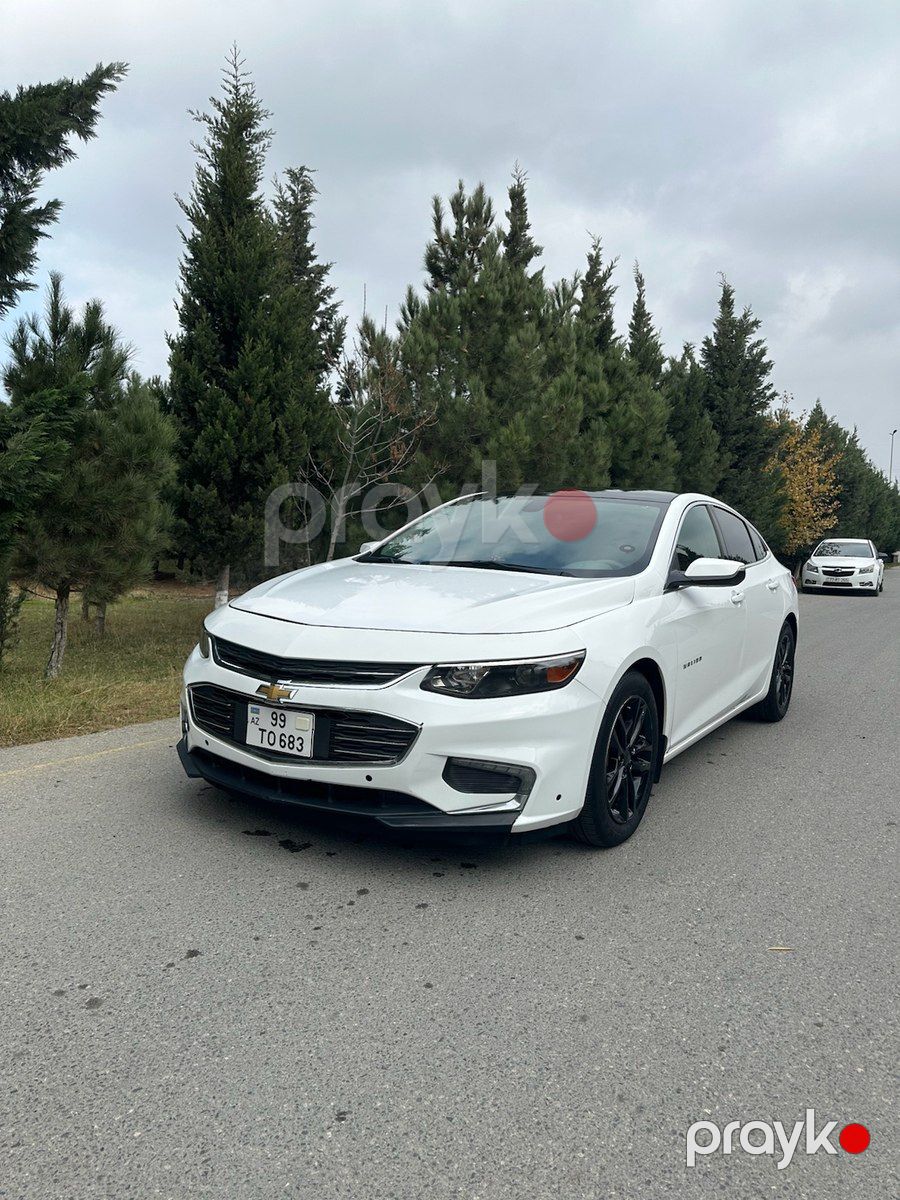 "Hyundai Elantra, 2016 il" icarəsi — Avtomobil icarəsi, Bakı (6)