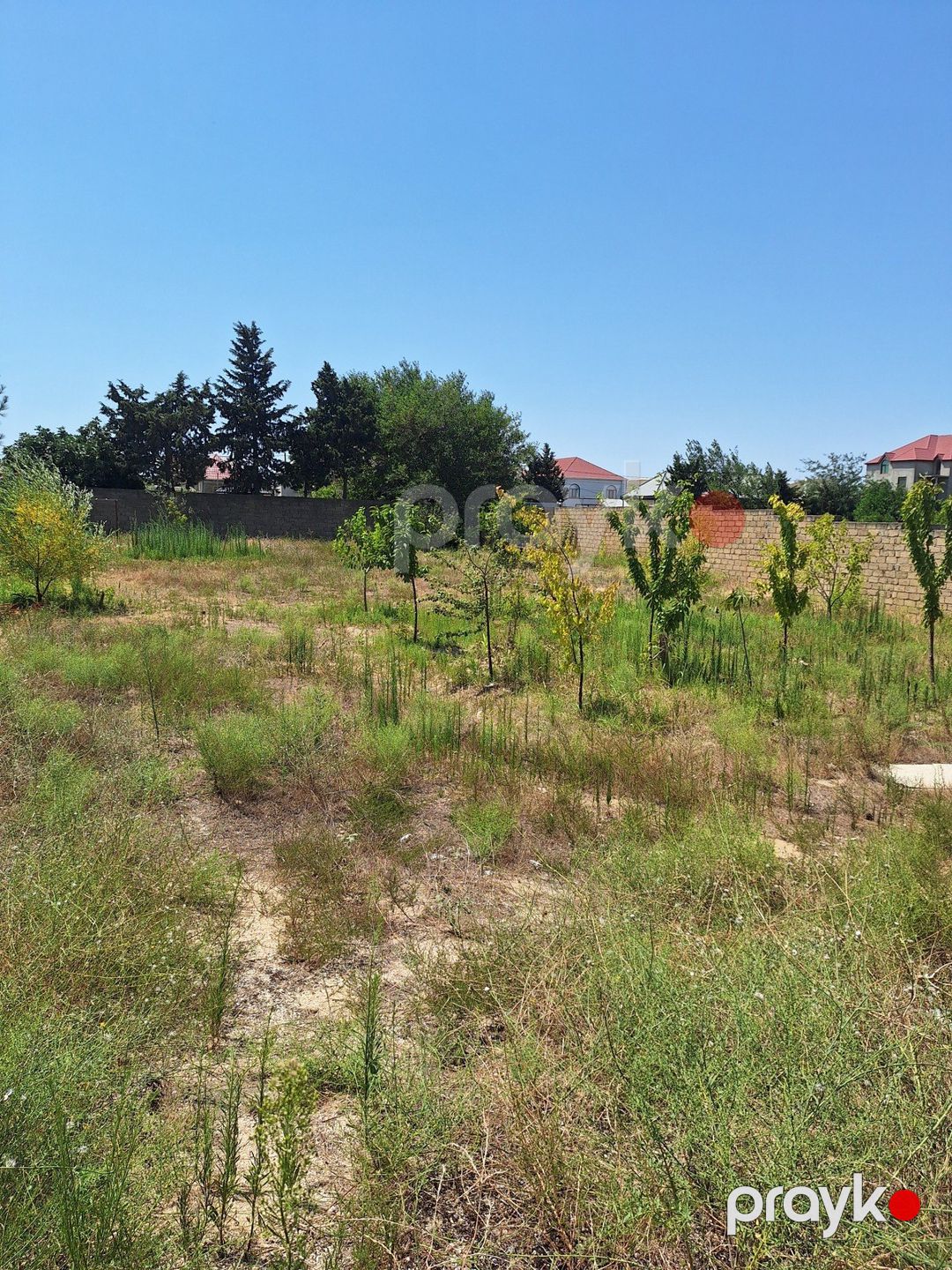 Satılır torpaq 10 sot — Torpaq, Bakı (6)