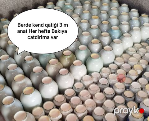 Qatıq — Bərdə