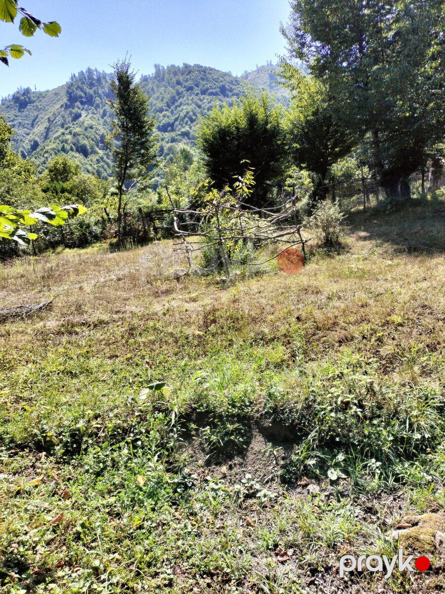 20 sot torpaq sahəsi, Qəbələ ş — Torpaq, Qəbələ (5)