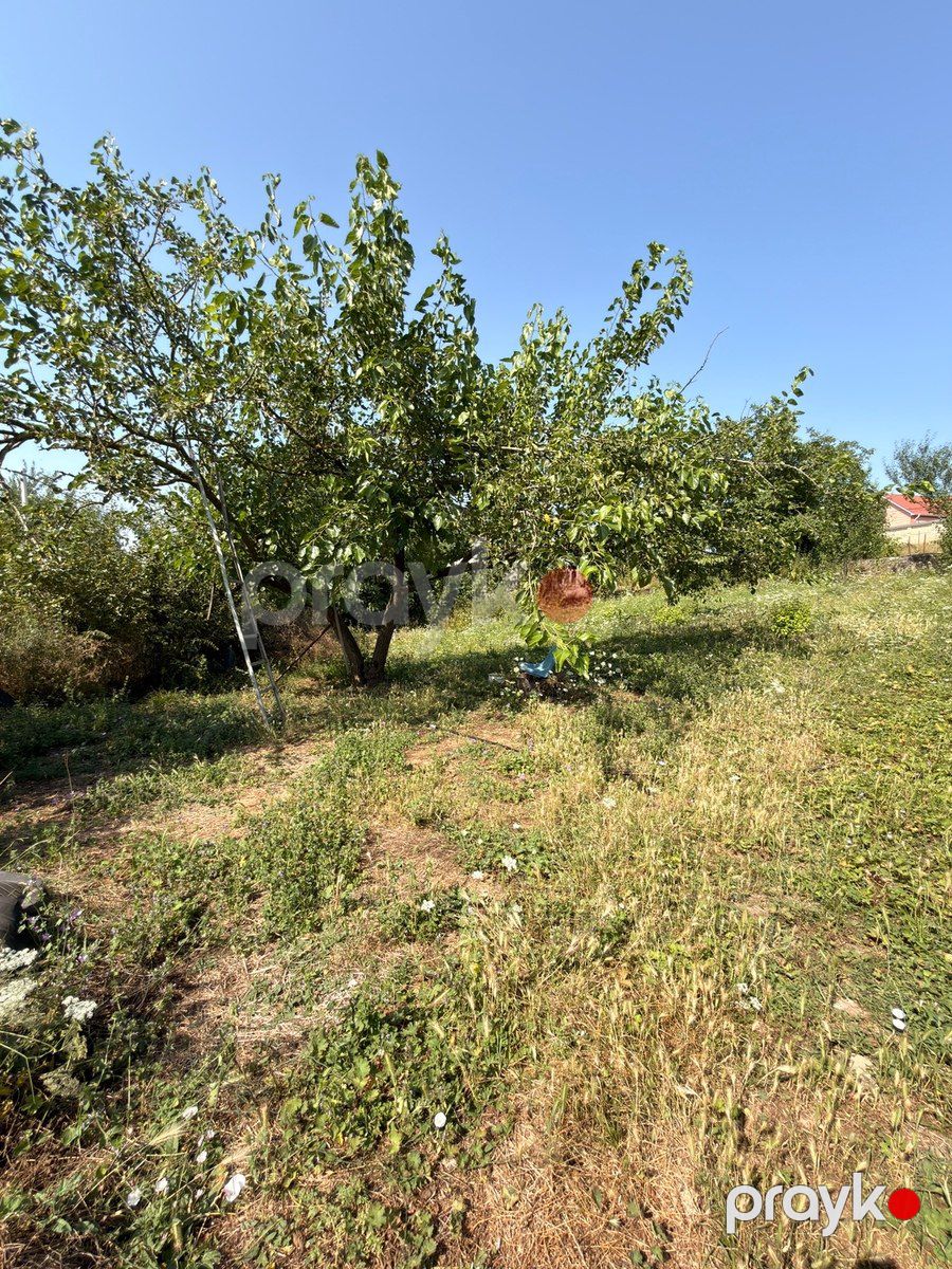 10 sot torpaq sahəsi, Qusar r — Torpaq, Qusar (3)