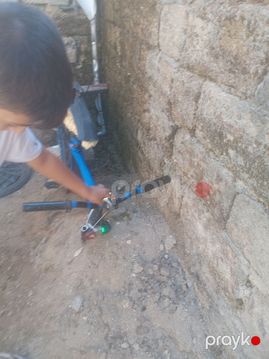 Məhsul: Uşaq/yeniyetmə üçün velosiped və hissələri Təsvir: - Mavi — Uşaq velosipedləri, Digah (4)