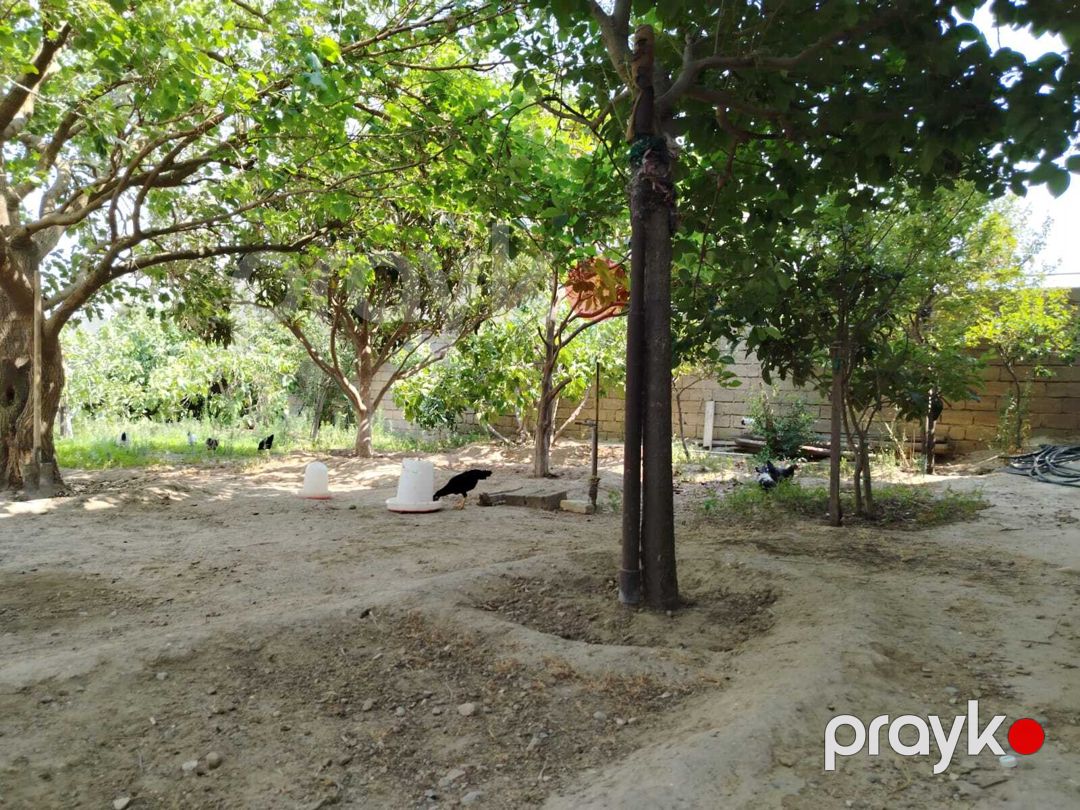 Həyət evi, Fatmayı qəs — Ev, villa, Bakı (12)