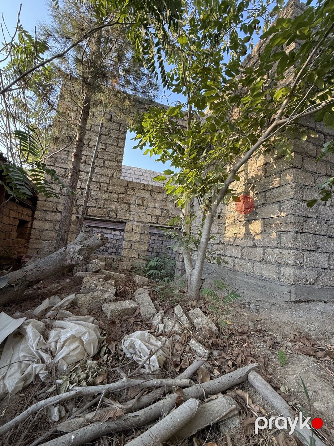 Satılır 4 otaqlı həyət evi/bağ evi 187 m² — Ev, villa, Bakı (12)